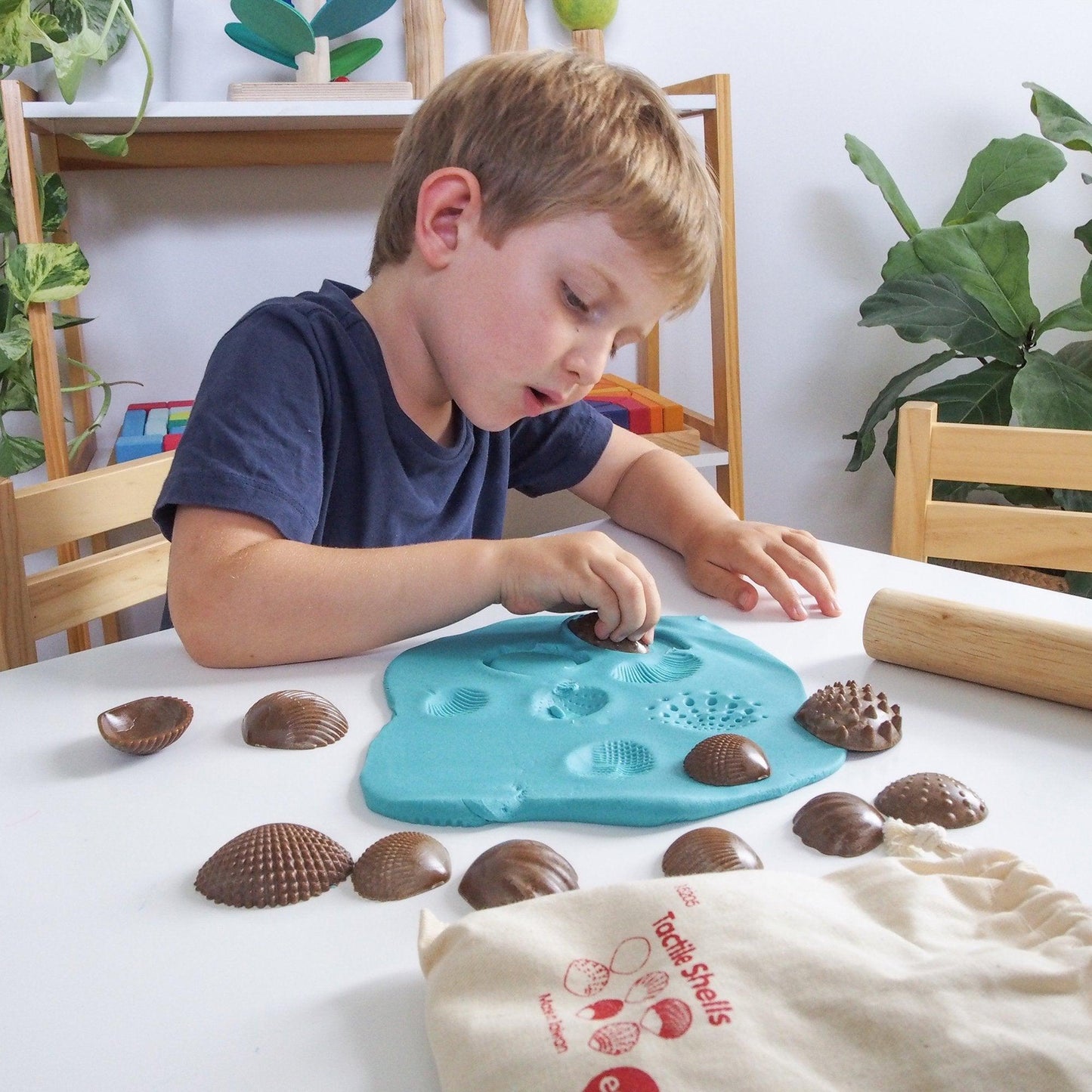 Eco Friendly Tactile Shells - Shopedx