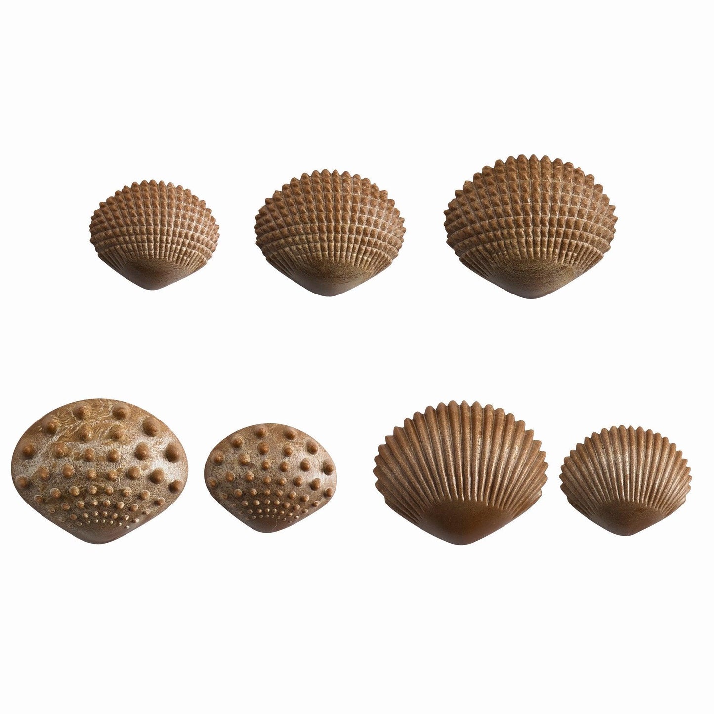 Eco Friendly Tactile Shells - Shopedx