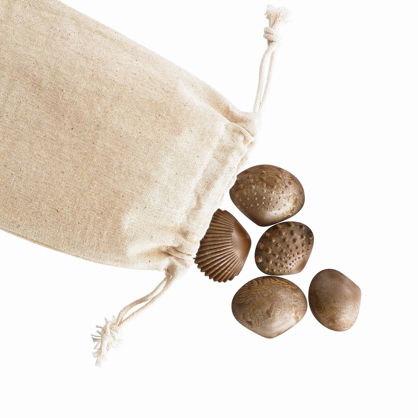 Eco Friendly Tactile Shells - Shopedx