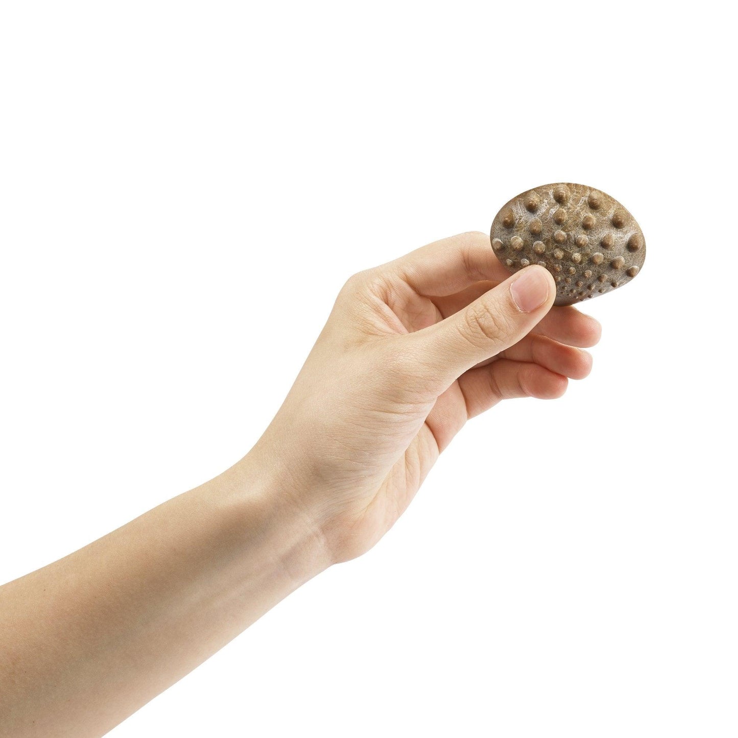 Eco Friendly Tactile Shells - Shopedx