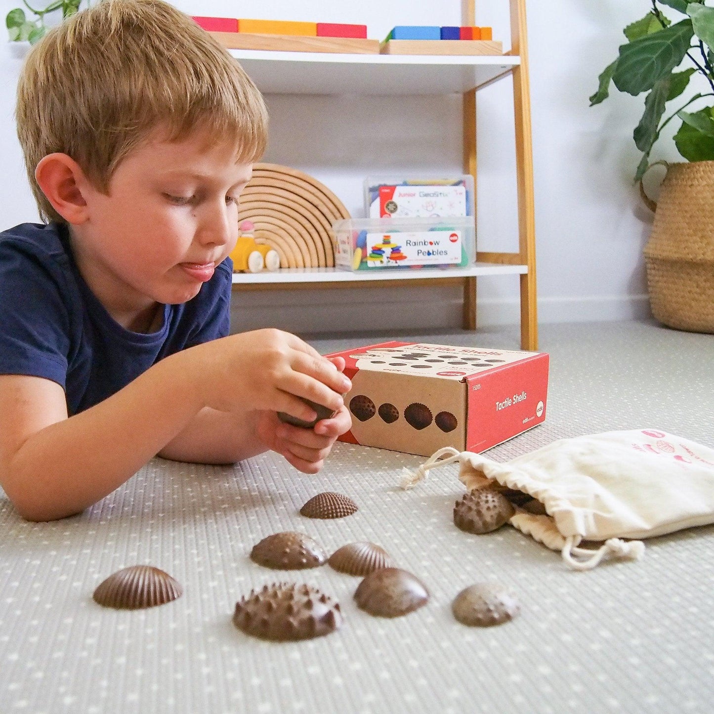 Eco Friendly Tactile Shells - Shopedx