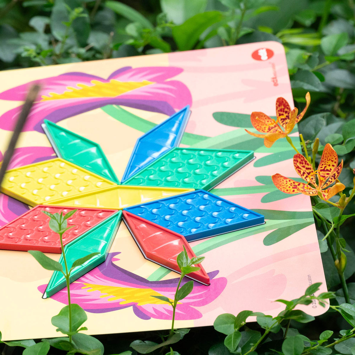 Edx Education - Shopedx UK – Green-n-Learn® Sensory Pattern Blocks – EDX22066 – Product Lifestyle Image