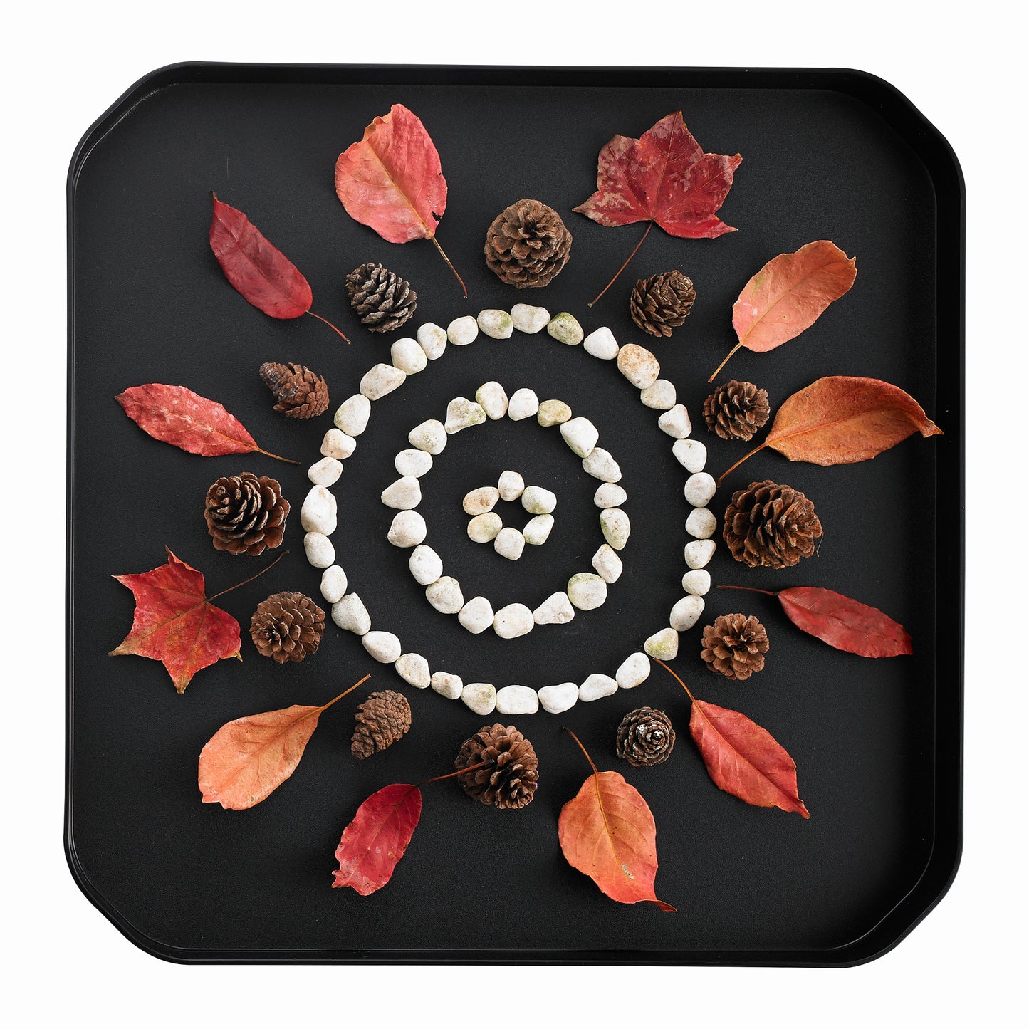 
                  
                    Fun2 Play Tray
                  
                