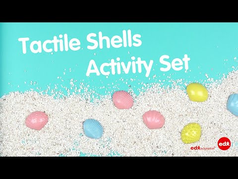 Green-n-Learn Tactile Shells Activity Set - Edx Education, Tactile Exploration, and Sensory