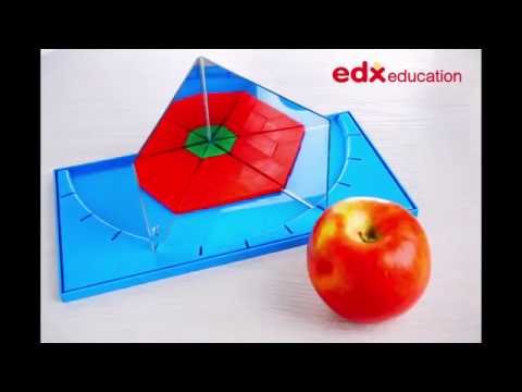 Junior GeoLand - Edx Education, Early Years, Curiosity - Stop Motion