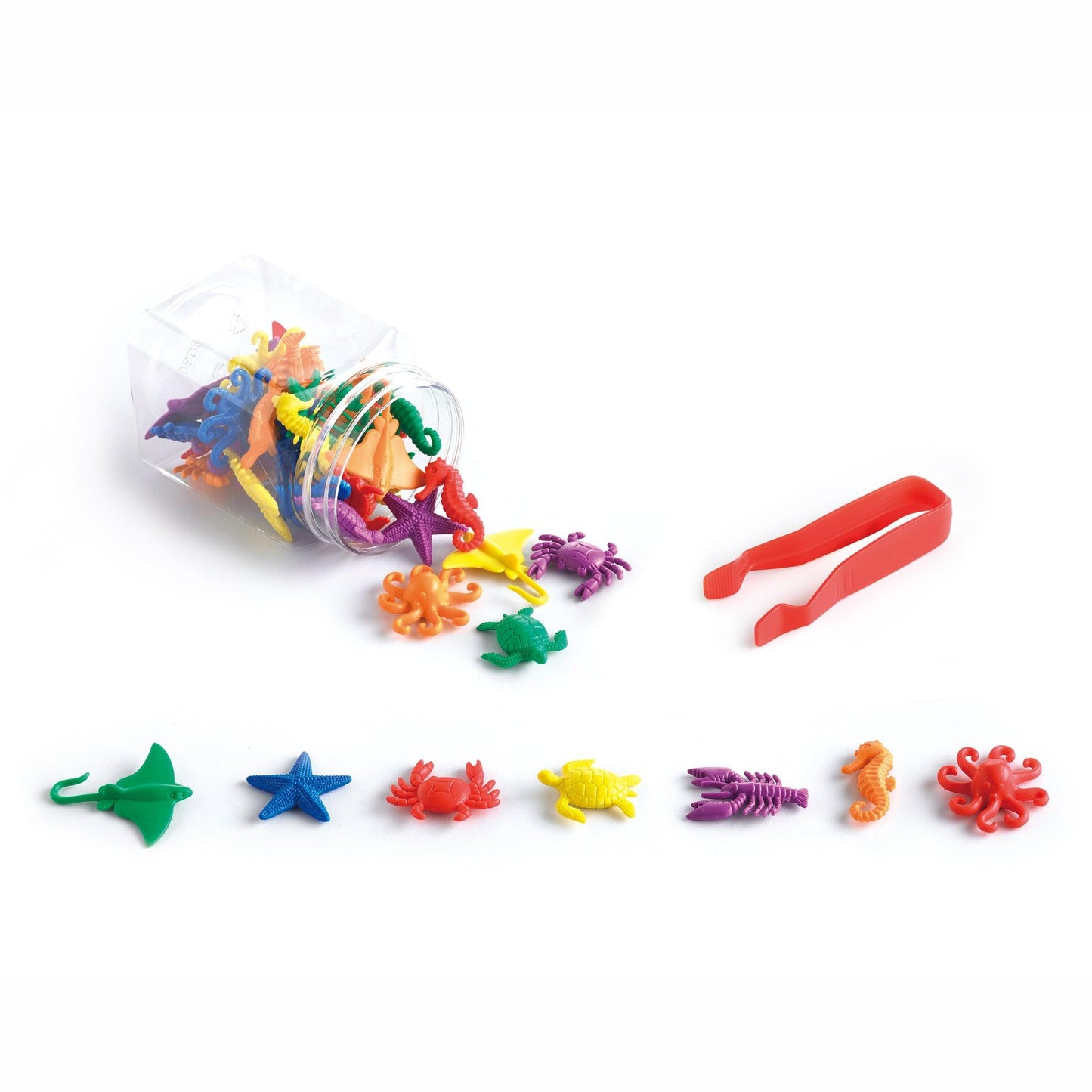 Aquatic Counters Jar - Shopedx