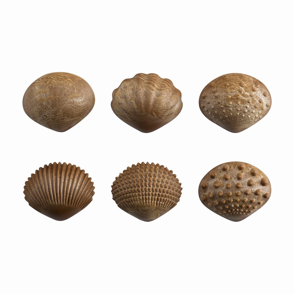 
                  
                    Eco Friendly Tactile Shells - Shopedx
                  
                
